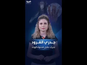 بعد تصنيفه حالة طوارئ عالمية.. الدول التي ينتشر فيها جدري القردة